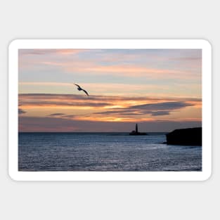 An early bird over St Mary's Island Sticker